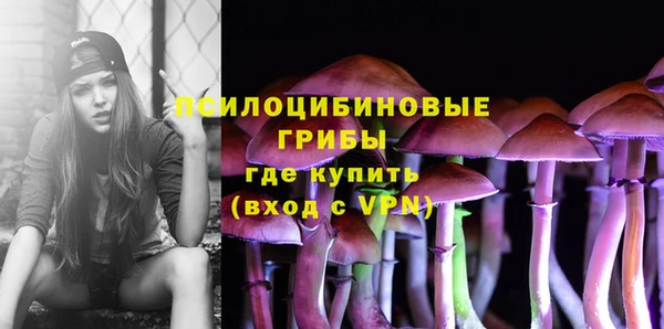 ПСИЛОЦИБИНОВЫЕ ГРИБЫ Переславль-Залесский