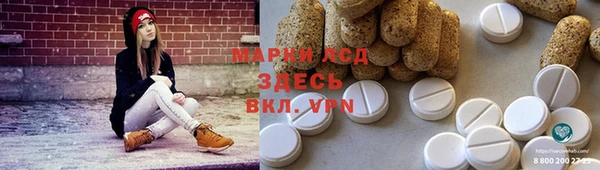 индика Пересвет