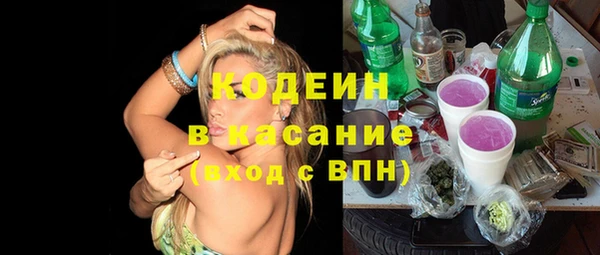 индика Пересвет
