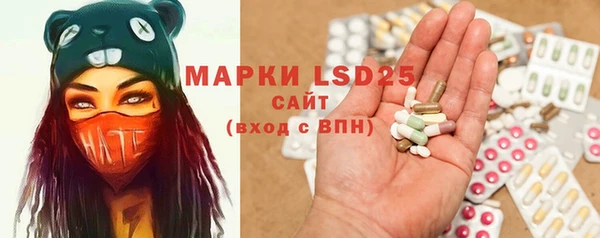 индика Пересвет