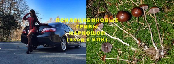 индика Пересвет