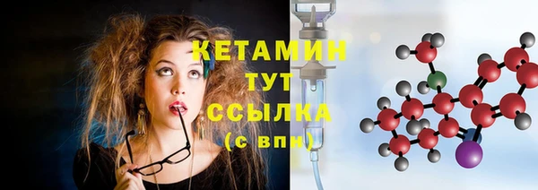индика Пересвет