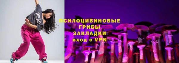 ПСИЛОЦИБИНОВЫЕ ГРИБЫ Переславль-Залесский