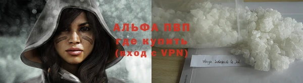 ПСИЛОЦИБИНОВЫЕ ГРИБЫ Переславль-Залесский