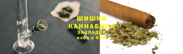 ПСИЛОЦИБИНОВЫЕ ГРИБЫ Переславль-Залесский