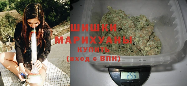 индика Пересвет